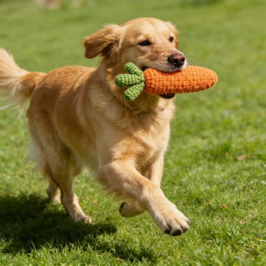 Handmade Knitted Carrot Pet Toy