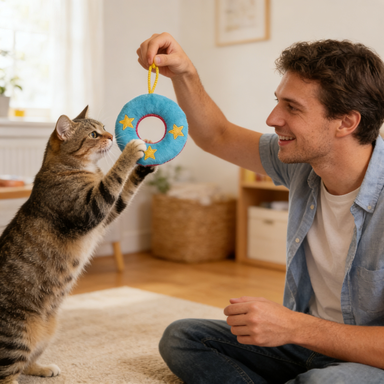 Star Embroidered Ring Pet Toy